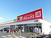 その他「ダイレックスまで1300m」