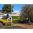 幼稚園、保育園「認定こども園下関天使幼稚園まで626m」