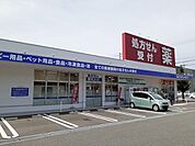 その他「サンキュードラッグまで1300m」