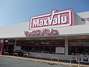 その他「マックスバリューまで800m」