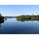 公園「常盤公園まで450m」