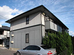 ハイカムール麻美Ｂ.