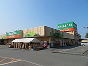 スーパー「ユアーズバリュー右田店まで800m」