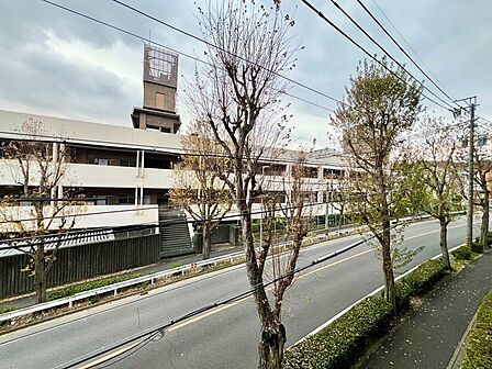 バルコニーの先に街路樹が連なる通りが広がっています。洗濯物を干すときや窓を開けたときに、緑を感じながら過ごせます