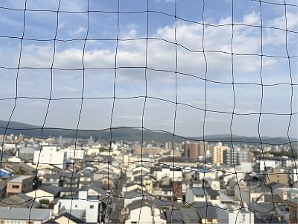 カーネギー丸太町 ｜京都府京都市上京区小山町(賃貸マンション4LDK・10階・88.41㎡)の写真 その28