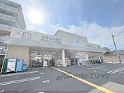 ダックス　下京西七条店まで750メートル