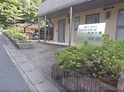 5 / 9