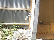 外部水道