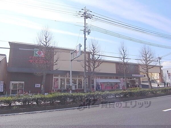 画像20:イズミヤ　千本北大路店まで80メートル