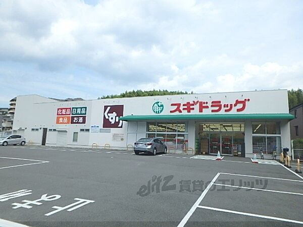 画像21:スギドラッグ　醍醐店まで800メートル