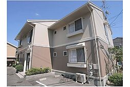 トゥインクル八科