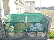 ゴミ捨て場
