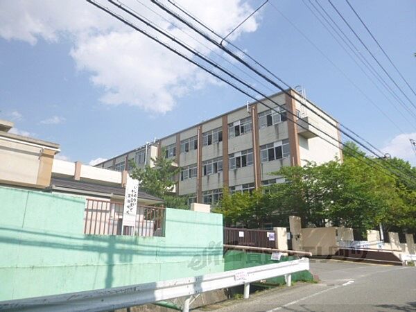 ハレレア 206｜京都府京都市伏見区羽束師菱川町(賃貸アパート2LDK・2階・59.24㎡)の写真 その15