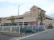 マツモト　上桂店まで400メートル