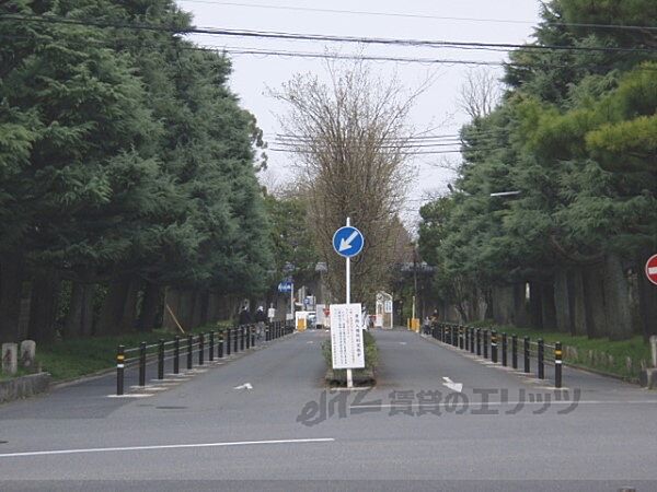 北白川下池田町24貸家 ｜京都府京都市左京区北白川下池田町(賃貸一戸建4DK・--・57.99㎡)の写真 その9