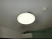 照明