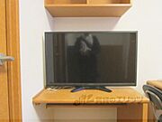 テレビ