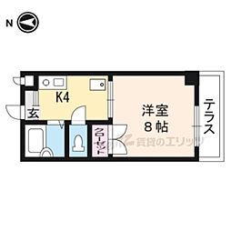 ルピナス321