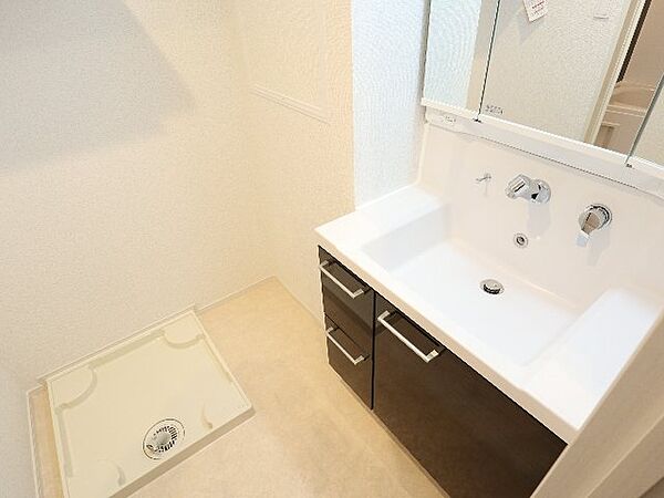 画像10:ゆったりとスペースのある洗面所