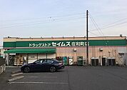 ドラッグセイムス庄和町店まで832m
