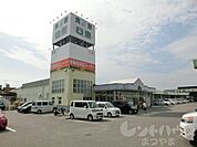 スーパー日東 食鮮館（339m）