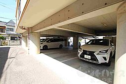 4 / 19