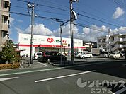 株式会社レデイ薬局 くすりのレデイ道後緑台店（349m）