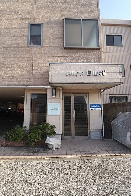 6 / 18
