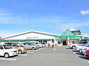 サニー(650m)