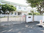若葉小学校(326m)