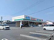 ウエルシアプラス(300m)