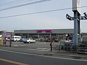 カンセキ 830m