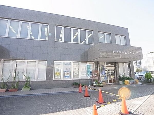 画像17:【銀行】JA静岡市豊田支店まで844ｍ
