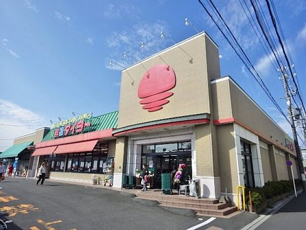 画像20:【スーパー】食鮮館タイヨー 二の丸店まで731ｍ