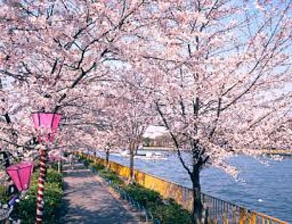 大阪府大阪市北区天満橋３丁目(賃貸マンション1LDK・6階・40.51㎡)の写真 その21