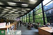 図書室 503m