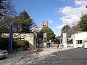 東大駒場キャンパス 100m