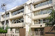 台東区立台東育英小学校 781m