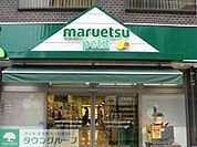 マルエツプチ 徒歩11分。スーパー 870m