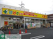 どらっぐぱぱす新小岩店 徒歩4分。ドラックストア 300m