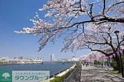 隅田公園 650m