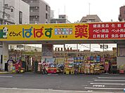 どらっぐぱぱす両国店 徒歩3分。ドラックストア 220m