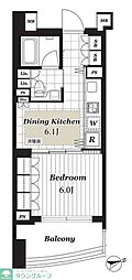 THECONOE代官山 1DKの間取図画像