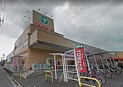 エコスTAIRAYA浦和栄和店 1078m