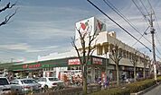 コモディイイダ東川口店 徒歩9分。 700m