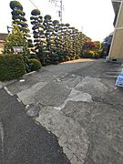共有部分