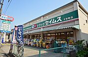 ドラッグセイムス子安町店 839m