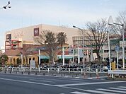 コルトンプラザ 1200m