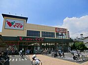 コモディイイダ 1100m
