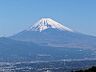 その他：バルコニーからズームで撮影
